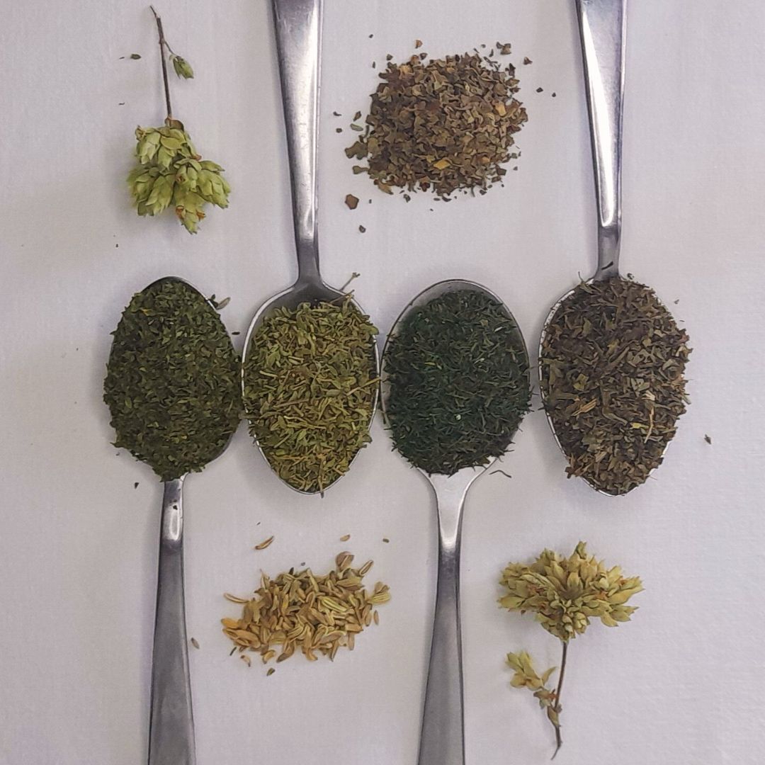 Ervas Aromáticas