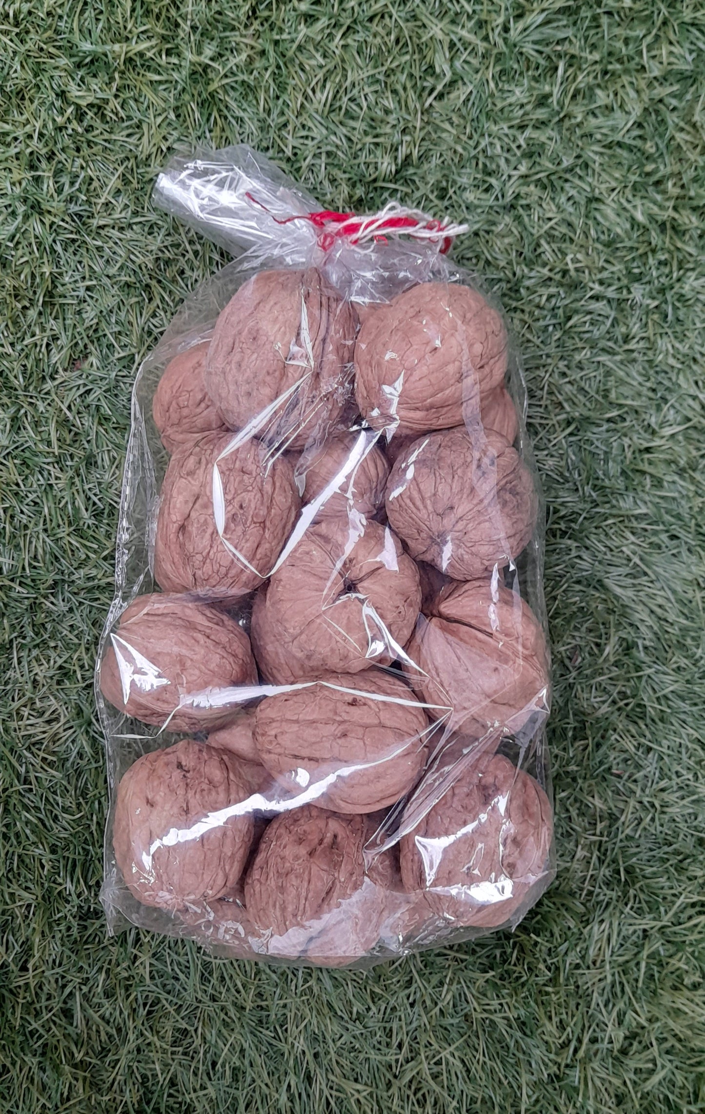 Nuez con cáscara