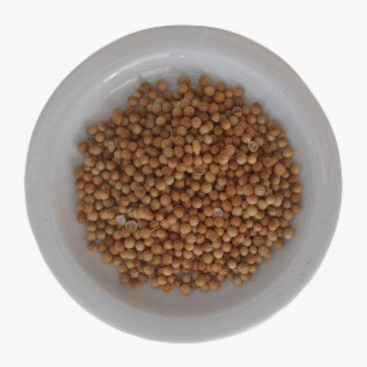 Grano de cilantro